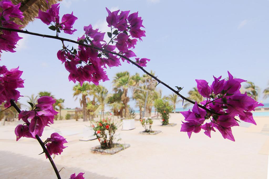 Vilas Praia Chaves Rabil Экстерьер фото